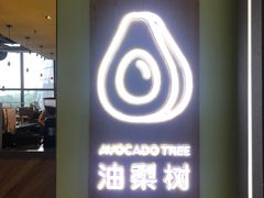 -油梨树AVOCADO TREE(望京店)