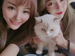 -瞄一喵猫咖(格力海岸店)