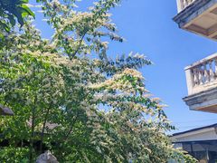-漫渡庄绿岛花园•隐世庭园菜(滨湖店)