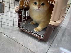 -爱洗澡的猫(天河路店)