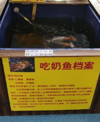 -汇乐童儿童主题乐园(李老社区商业中心店)
