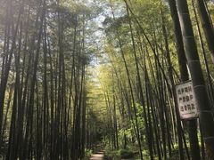 -南山风景名胜区