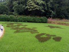 -韶山毛泽东同志故居