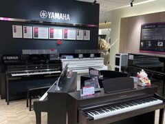 -雅歌音乐培训中心·钢琴培训·乐器培训(交道口店)