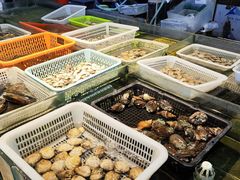 -宋船渔栈(白沙店)