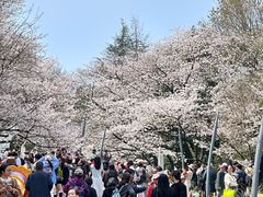 -杭州少年儿童公园