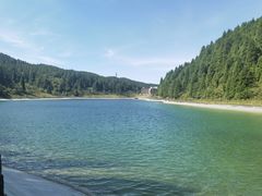 -武陵山森林公园