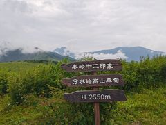 -老版火锅(半坡店)