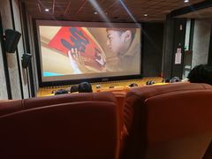 -华美国际影城(旧宫永辉店)