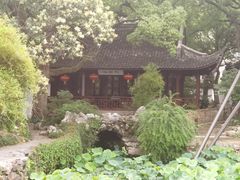 -上海醉白池公园