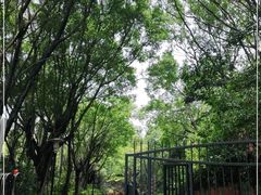 -深圳国际园林花卉博览园