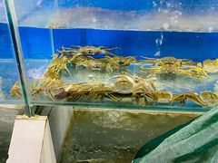 -西湖船菜(湖滨·碧水山庄店)