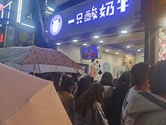 -一只酸奶牛(八一路店)