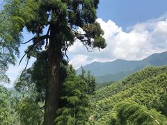 -仙霞关景区