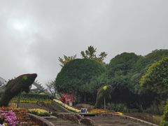 -南山植物园