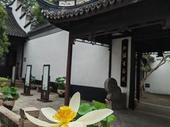 -上海醉白池公园