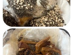 -侠成水上农庄(工业大道店)