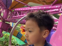 -顺德大良半月城游乐场