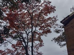 -九皇山景区