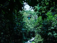 -杭州半山国家森林公园