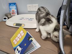 -伟伟宠物医院·CT影像中心·瑞派犬猫综合性门诊(汉口总院)