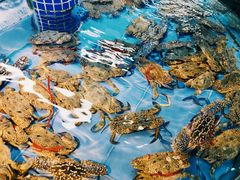 -海棠湾聚鼎香海鲜坊(海昌梦幻不夜城店)