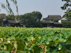 -高子水居