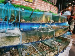 水产区-蟹谢蒸鲜自助餐厅