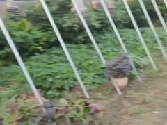 -姥家大锅台水库渔家
