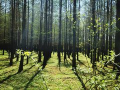 -蜀冈西峰生态公园