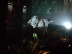 -侏罗纪世界电影特展(广州站)