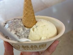 -极拉图·现制冰淇淋(大卫城店)