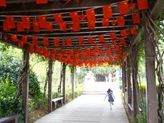 -白马涧龙池景区