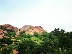 -红山国家森林公园