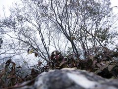 -紫金山天文台