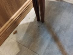 -察理王子(金浦店)