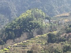-石台牯牛降景区