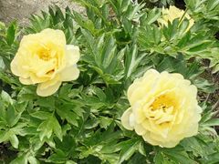 -狼山风景名胜区