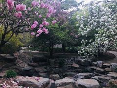 -香山公园