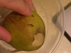 -上虞天玥大酒店