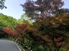 -南京市江宁方山