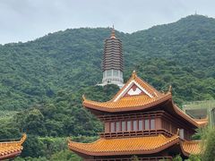-深圳仙湖植物园