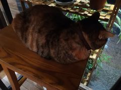 -猫的天空之城概念书店(杭州南宋御街店)