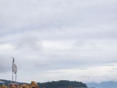 -西澳岛