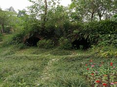 -桤木河湿地公园