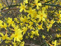 -北京麋鹿生态实验中心