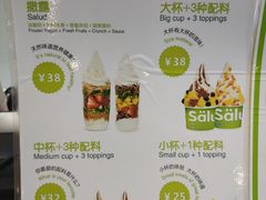 菜单-Salud撒露欧洲冻酸奶(蓝色港湾店)
