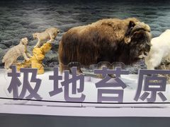 -中国湿地博物馆
