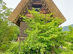 -白川乡与五箇山的合掌构造村落
