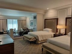 -澳门威尼斯人综合度假区